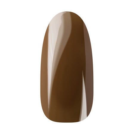 Ann Professional Color Gel 097 Coffee brown 4g