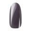 Ann Professional  Color Gel 105 Steel gray 4g