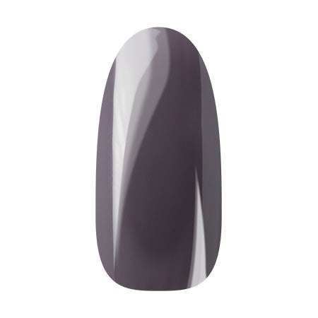 Ann Professional  Color Gel 105 Steel gray 4g