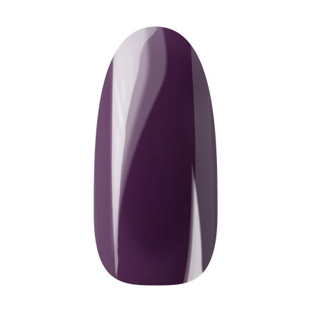 Ann Professional Color Gel 107 Dark purple 4g