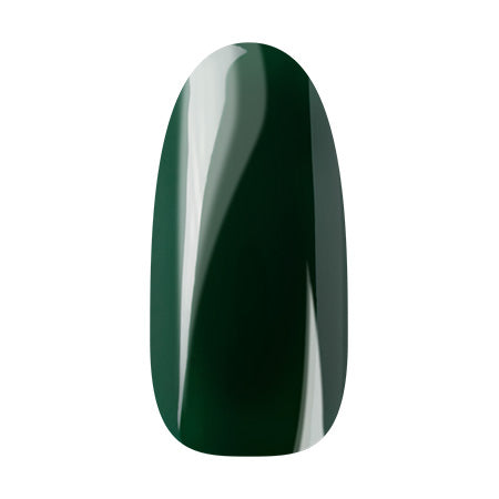 Ann Professional Color Gel 110 Dark green 4g