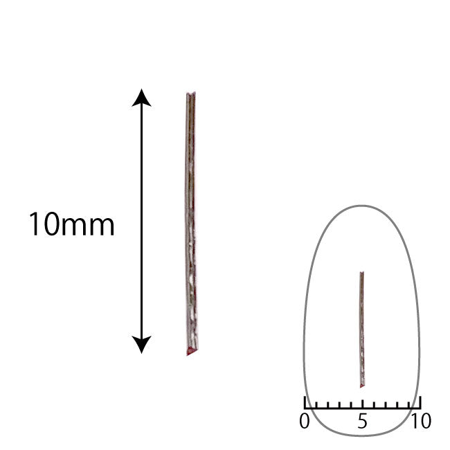Lady Grace Nail Accessories ND021-2 Silver 10mm x 0.5mm