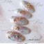 Sha-Nail PRO  Frame Font White