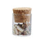 SHAREYDVA Gloss Shell Natural L