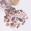 SHAREYDVA Gloss Shell Mauve Pink