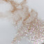 NOVEL ◆ Champagne Glorious Glitt