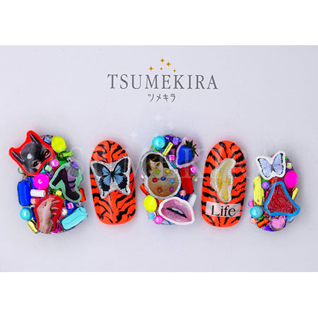 Tsumekira DAISY Produce 6 NN-DAI-109 Ochappy Collage NO. 2