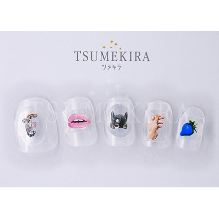 Tsumekira DAISY Produce 6 NN-DAI-109 Ochappy Collage NO. 2