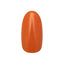 Nail Parfait Polish Gel B5 Pure Orange