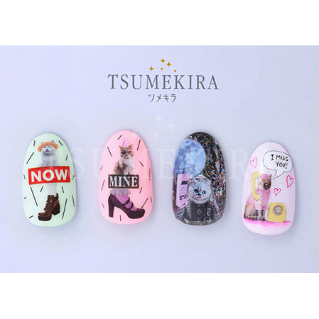 Tsumekira DOG x DAISY Produce 2 PLAYFUL CATS NN-DXD-103