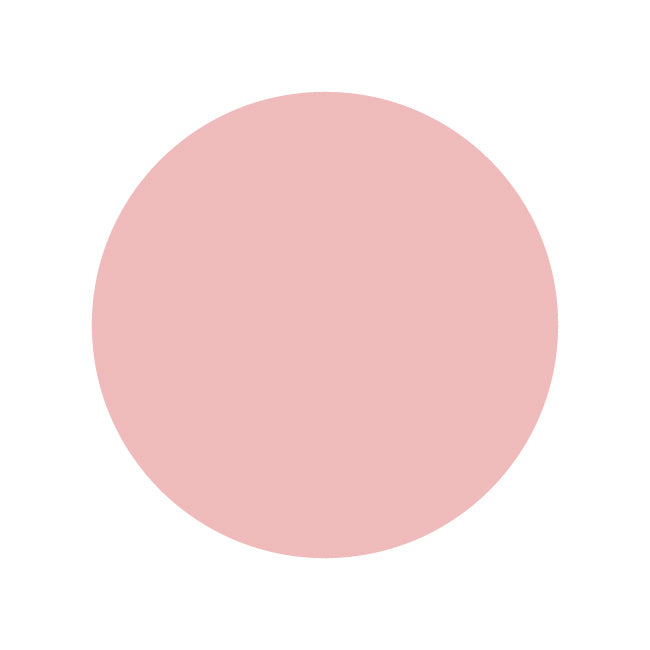 SHAREYDVA Noa gel  Base & Color 02 4g