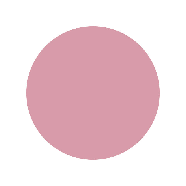 SHAREYDVA Noa gel  Base & Color 03 4g