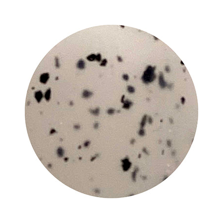 ICE GEL A BLACK Dalmatian gel 1171 White 3g
