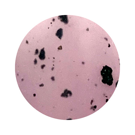 ICE GEL A BLACK Dalmatian gel 1174 Lilac 3g