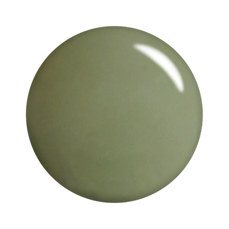 T-GEL COLLECTION Color Gel D072 Ash Khaki 4g