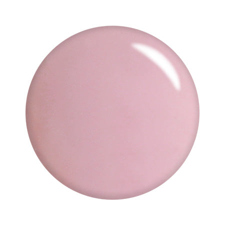 T-GEL COLLECTION Color Gel D209 Ash Rose 4g