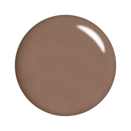 T-GEL COLLECTION Color Gel D221 Mocha Gurege 4g