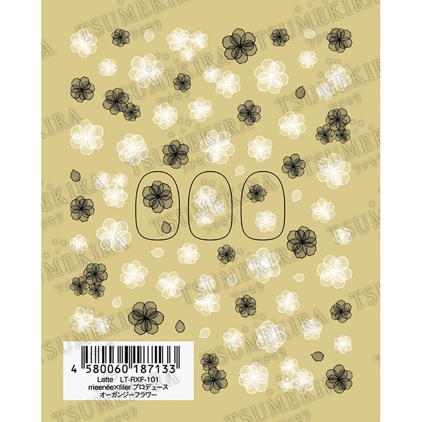 Tsumekira [Latte] rrieenee × filer  Produced organdy flower  LT-RXF-101