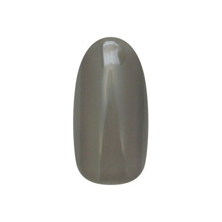 Nail Parfait Clear Color Gel  C17 Charcoal Greige  2g