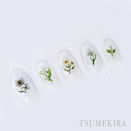 Tsumekira DAISY Produce 9  DAISY'S GARDEN WHITE