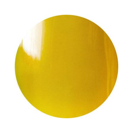 TRINA Bonnail Color Gel CL-09 biacidrin 5g