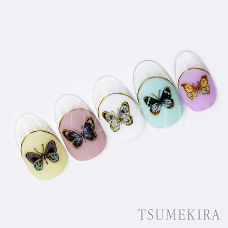 Tsumekira DAISY Produce 10  DAISY'S GARDEN BUTTERFLY