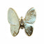 MATIERE Gold Frame Butterfly Parts Blue 2p