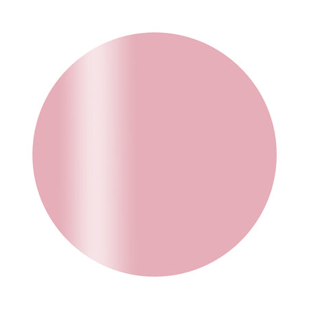 Calgel ◆ Color Gel Plus Ash pink 2.5g