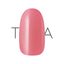 TRINA Color Gel  SKN-17 Liege 5G