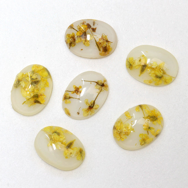 SHAREYDVA Clear Dry Flower Yellow 6p