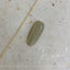 + D D.Nail Dot Chain  Gold