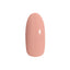 PREGEL Color EX  Glossy skin PG-CE924 3G
