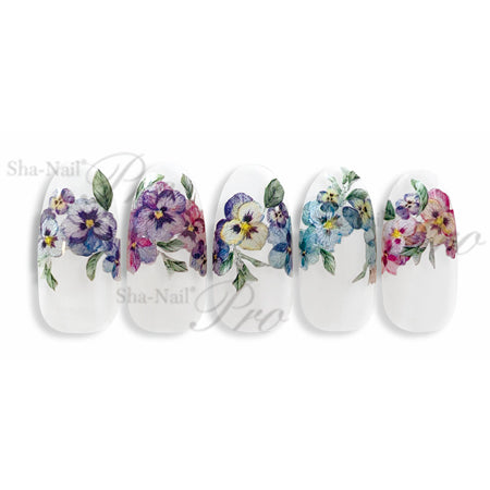 Sha-Nail PRO Sheer Pansy  RUMI-007