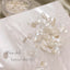 NOVEL ◆ Drep Shells Natural White S