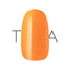 TRINA Color Gel  OR-4 Dimorphotheca 5G