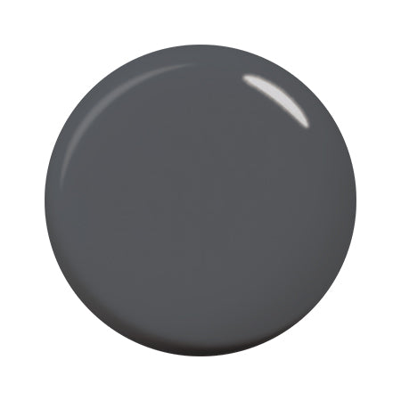 Para Gel Color Gel  C006 Storm Gray 4G