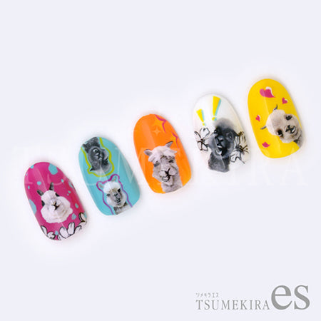 Tsumekira es Yeung Pui Lun Produce 2  Funny Alpaca ES-YPL-102