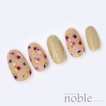 Tsumekira [noble] Dried flowers and gold leaf 1  NO-DFG-101 (for gel only)
