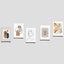SONAIL Gradient Photo Paper Set  MEG001110  5 sheets