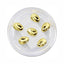 MATIERE Metal Parts Ellipse Gold 6P