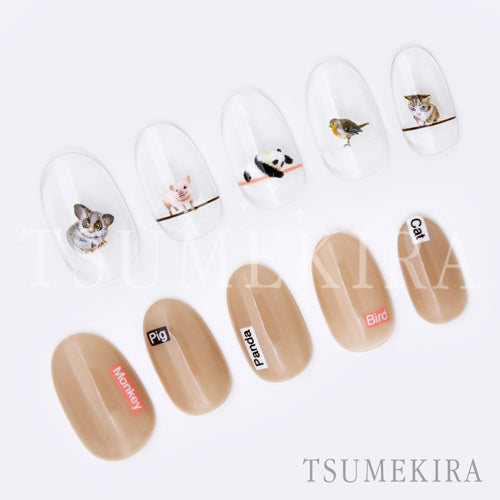 Tsumekira Saki Chiba Produce 2  Cute Cutters NN-SAK-102