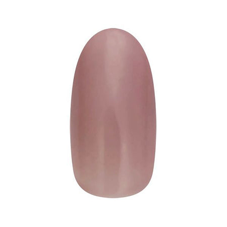 Nail Parfait Color Gel  156 Nature Plum 2G