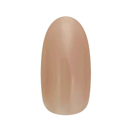 Nail Parfait Color Gel 157 Nature Teole 2G