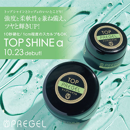 PREGEL Top Shine A 100G