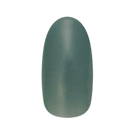 Nail Parfait Color Gel 169 Nature Foret 2G