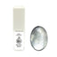 Nail Parfait Color Ink  L18 Metallic Silver 5ML