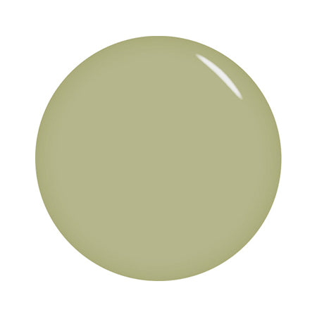 STORY JEL365 Color Gel SJS-262S Pistachio Cream 5G