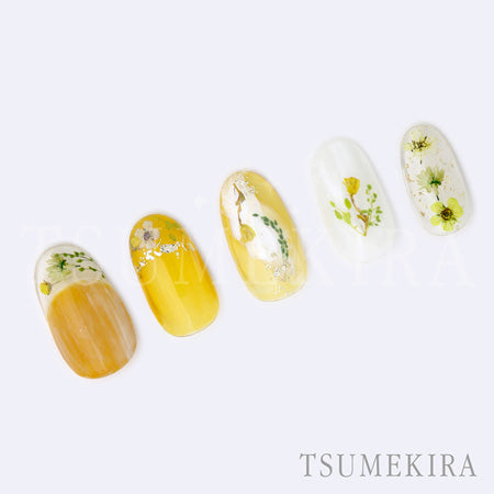 Tsumekira Dried Flower Double-sided Printing 3 NN-DFR-103