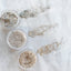NOVEL ◆ Blanche glitter