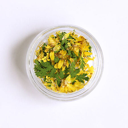 SHAREYDVA Dried Flower Mimosa Mix